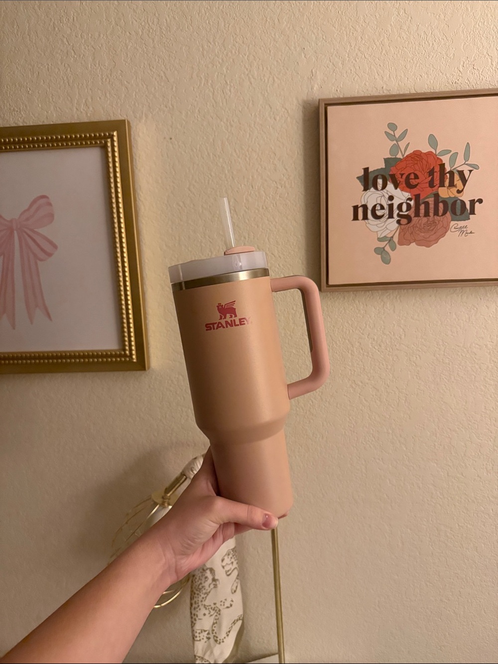 Stanley Matte Peach Travel Mug with Handle and Straw